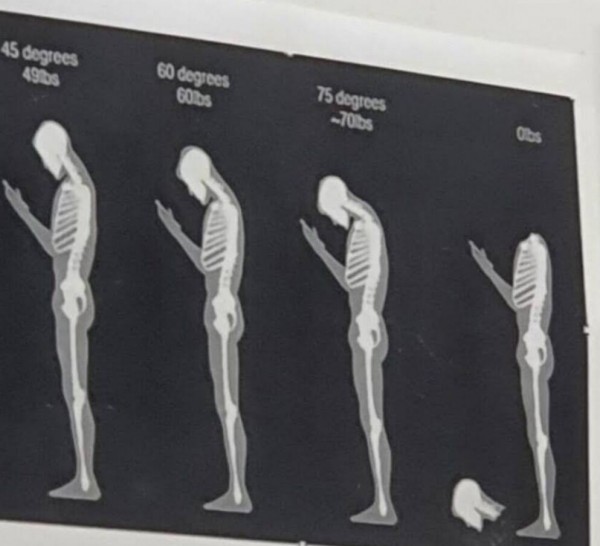 803e67941f658730f13682630b3d0559_1662431182_5629.jpg